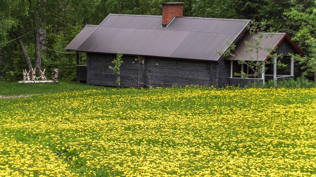Rajan Loma Cottages Joensuu Exterior photo